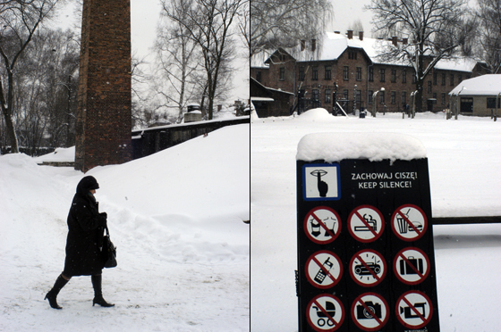 auschwitz gaskamer